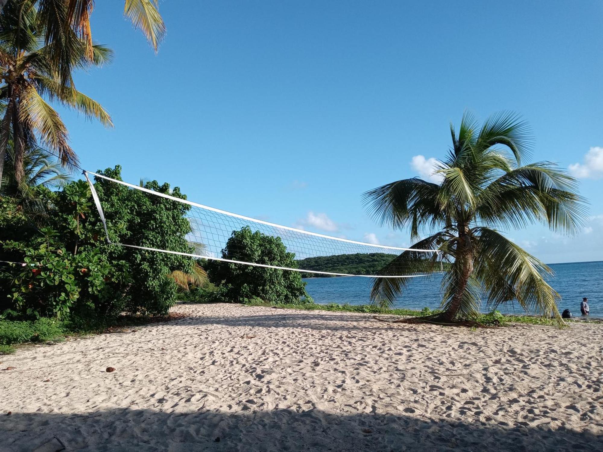 Studio 4 Casiguaya With Garden Access Vieques Exterior foto